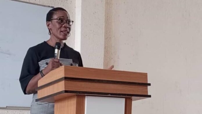 Despite CBN's efforts, Nigeria loses $18 billion yearly to illicit financial flows - Maureen Chigbo