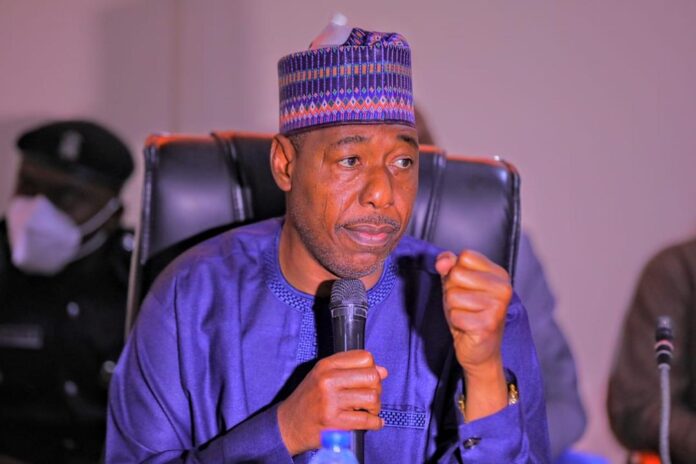 Borno gov't condemns "unruly behaviour" of youths on social media