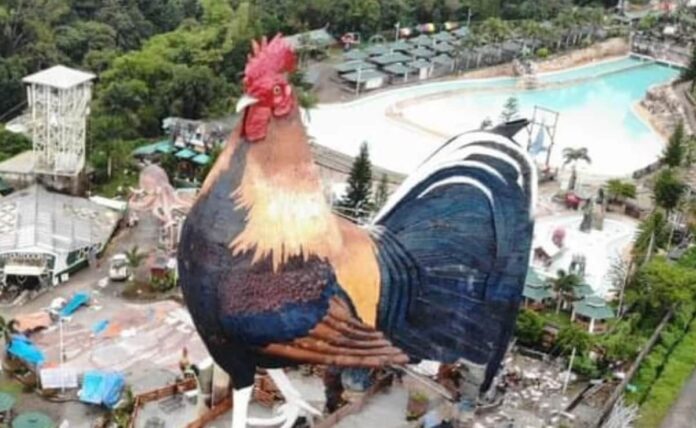 Clucking Sensation: Giant chicken hotel sets world record Clucking Sensation: Giant chicken hotel sets world record