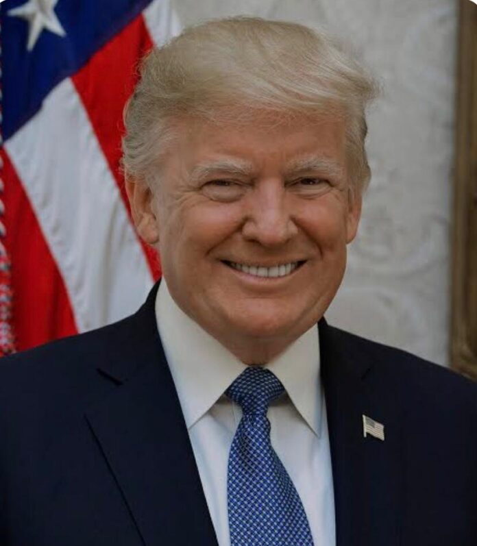 Trumps administration commences mass deportations of illegal immigrants