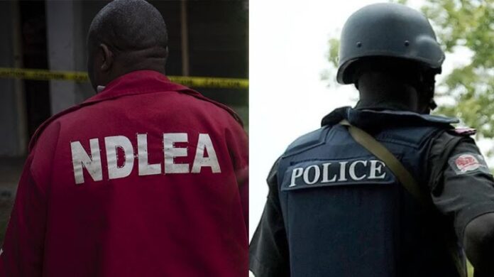 Gunshots as violent confrontation erupts between police, NDLEA officers