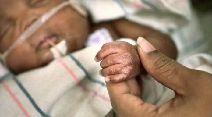 Teenager arrested for throwing newborn from hotel window