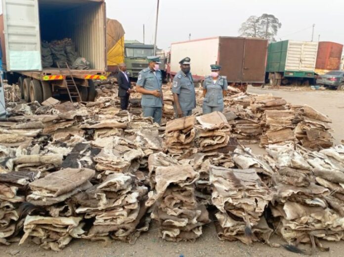 NCS intercepts ₦4.2 billion donkey skin, 21 units of exotic cars