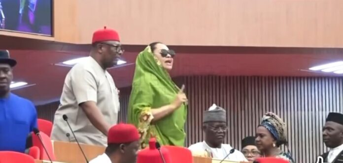 National Assembly is not for content creation - Senate spokesperson