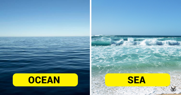 Beyond Size: What sets seas and oceans apart