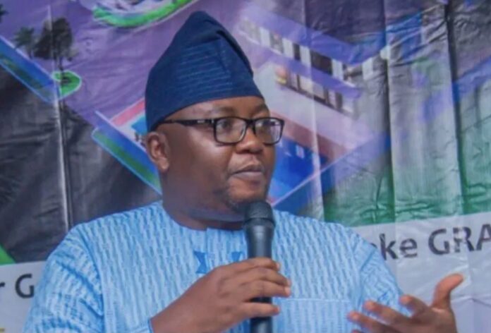 Why Nigeria needs to learn power generation from Egypt – Minister
