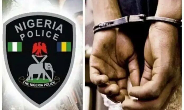 Police nab 2 men for stealing car over ₦20,000 reward