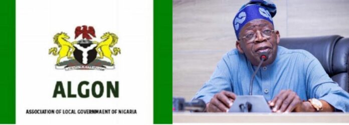 ALGON sues FG over LG autonomy implementation