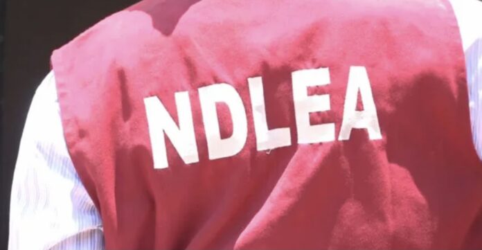 Three NDLEA officers sustain gunshot injuries during Abuja raid