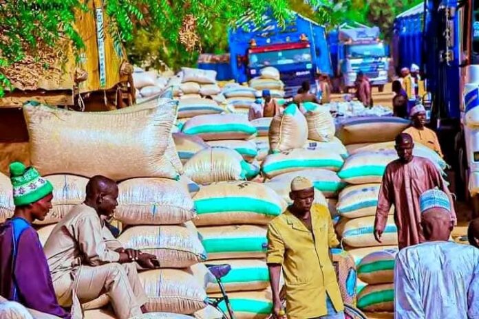Prices of beans shoot up while costs of other grains drop at Potiskum Market