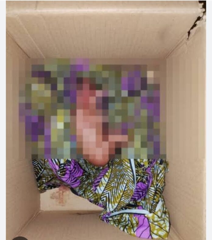 Another day-old baby abandoned in Abuja community