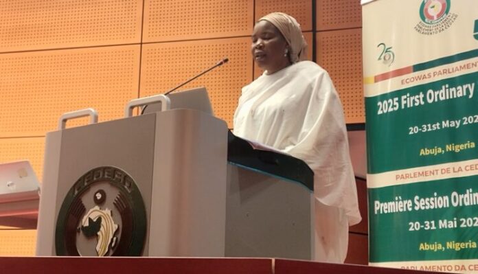 Terrorism Threat: Nigeria's Dr Zainab Gimba urges ECOWAS to strengthen security cooperation