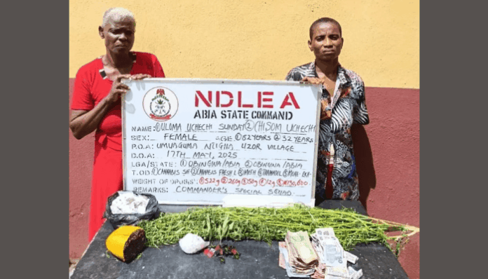 NDLEA nabs 80-year-old ex-convict, grandma, recovers ₦3.2bn opioids