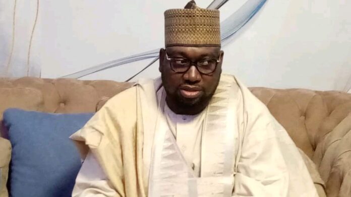 How bandits fed newborn twins to dogs in Zamfara - Lawmaker narrates