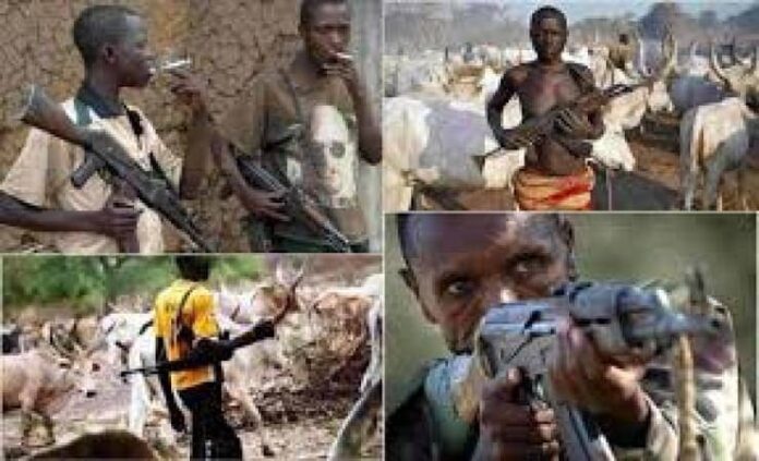 Benue Killings: 160 killed in 1 month including police, soldiers