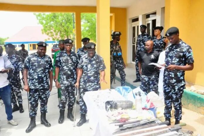 Police in Borno arrest 210, seize drugs, weapons