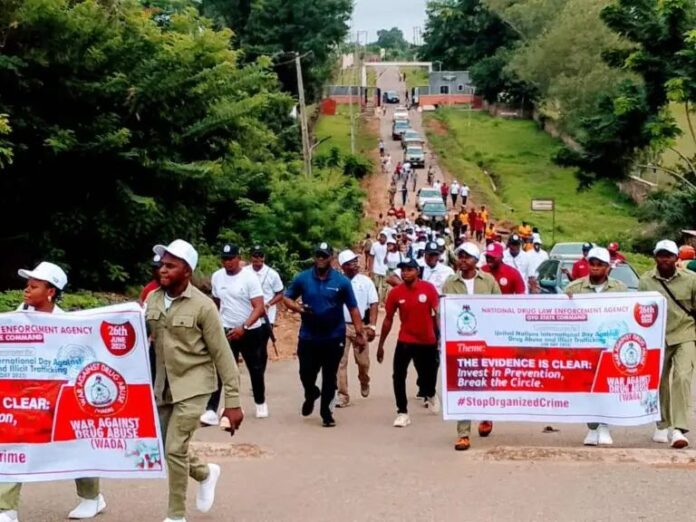 4 out of 10 undergraduates are into drugs – NDLEA