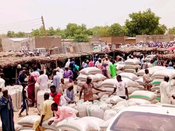 Food prices drop slightly in Dawasa grain market, Yobe