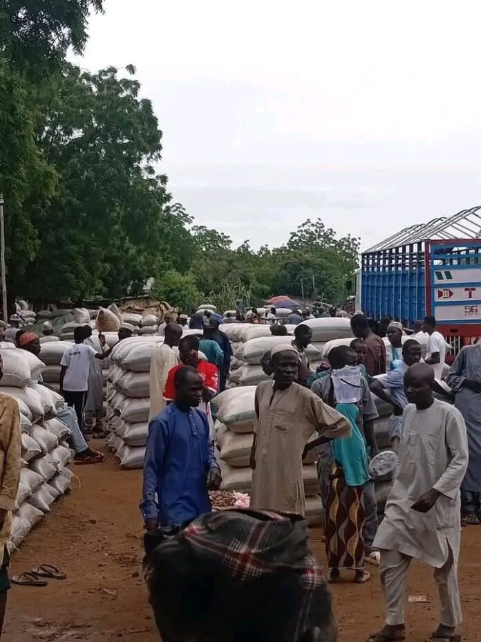 ‎Prices of beans, millet, sorghum decline in Ngalda market, Yobe