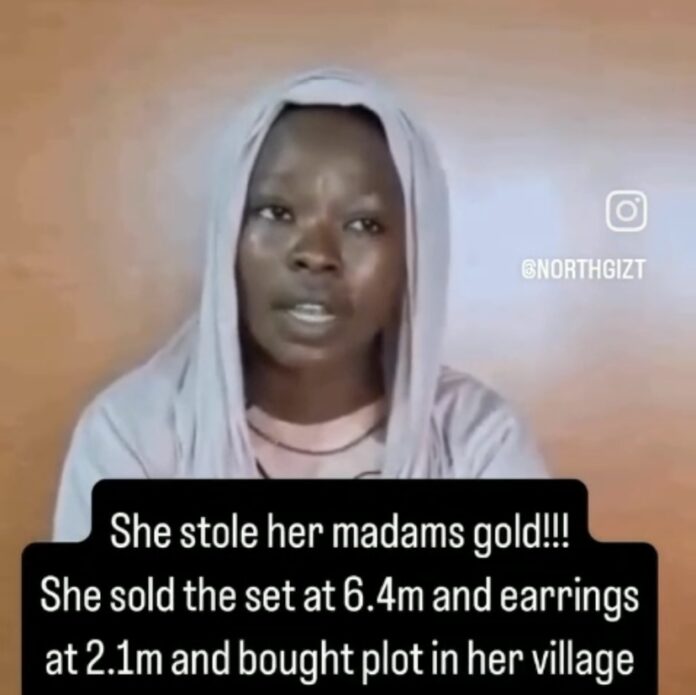 Domestic worker arrested for theft (video)