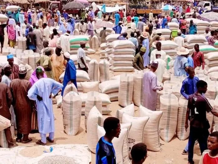 Grain prices drop sharply in Potiskum market, Yobe