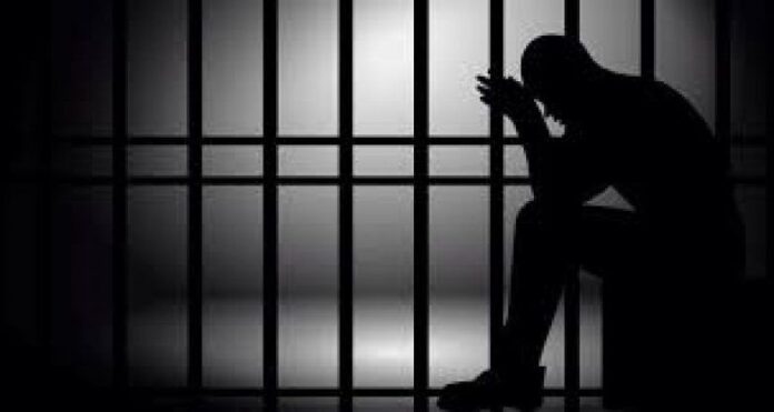 Driver sentenced to 5 years for stealing Toyota bus