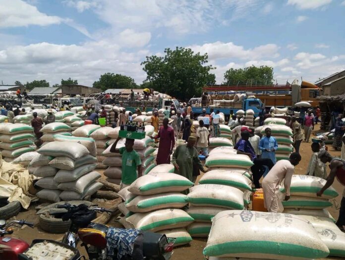 Grain prices drop significantly in Ngelzarma Market, Yobe State