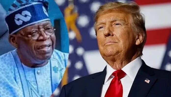 Nigeria faces economic threat from Trump's proposed 10% tariff on BRICS nations
