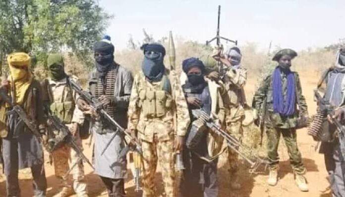 Terrorists in Niger kill Immigration officer, burn body
