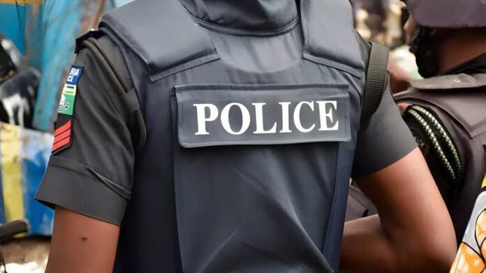 Ekiti police commissioner orders probe of lawless officers caught in video forcing entry into private apartment