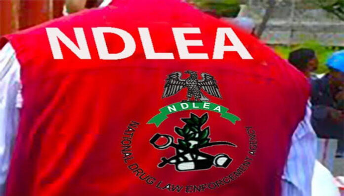 NDLEA auctions properties seized from drug traffickers in 4 states