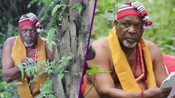 Veteran Nollywood actor Tom Njemanze dies after battle with cancer