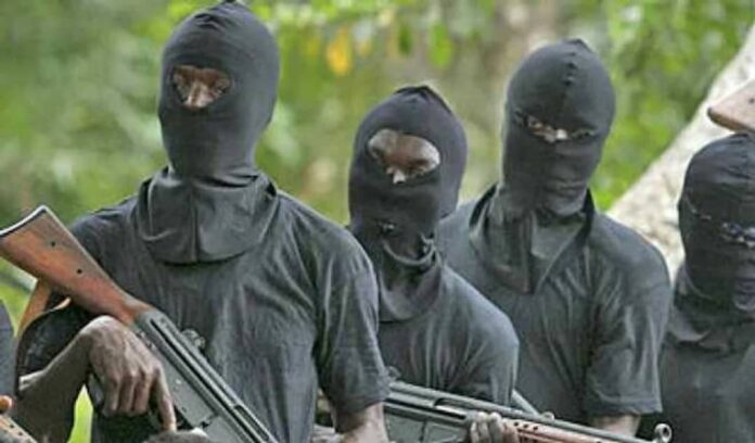 Gunmen attack Plateau community, kill cows, abduct 2 children