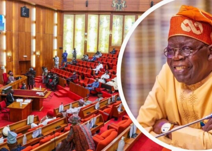 Tinubu's $21bn loan plan gets senate nod for 2025-2026 fiscal cycle