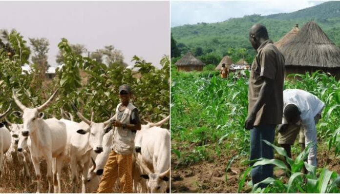 We’re not harbouring terrorists – Herders