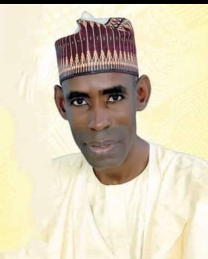 Nigeria at 65: Reflections, realities, and the road ahead, by Engr. Bello Gwarzo Abdullahi, FNSE