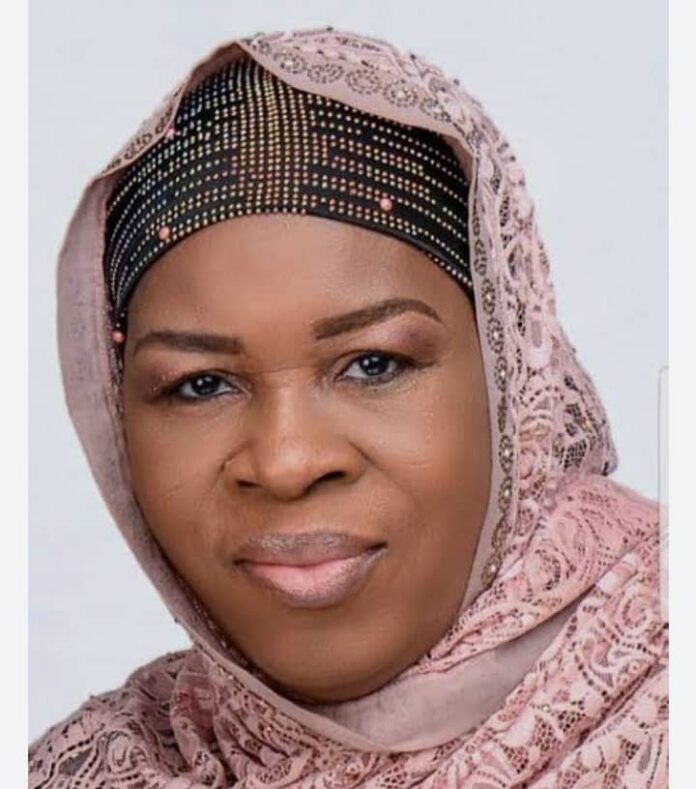 The political class versus Hilda Baci, by Zainab Suleiman Okino