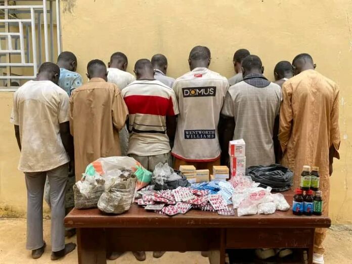49 suspects arrested as NDLEA steps up drug enforcement in Kano