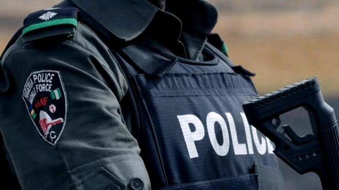 Police arrest two suspected cattle rustlers in Bauchi