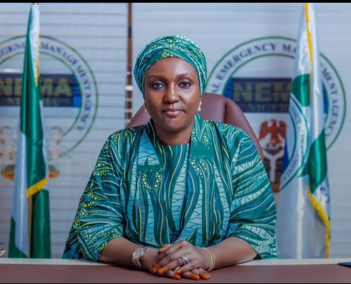 NEMA secures ₦120bn for 2025 flood response following presentation to NEC