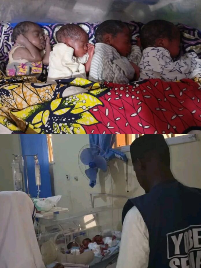Yobe government pledges full support to Fika family blessed with quadruplets