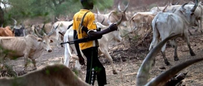 Armed herdsmen killed 2 in fresh Benue attack