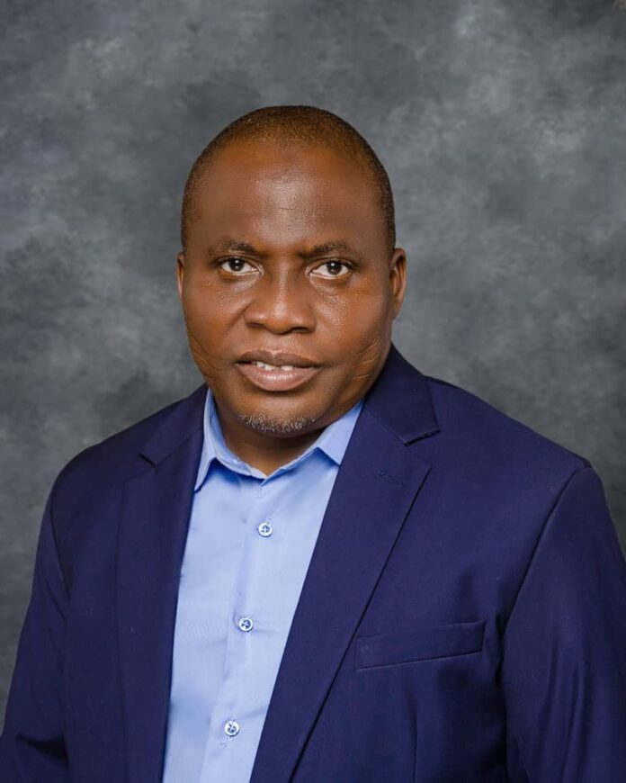 Academy of Management Nigeria elects Mande as president
