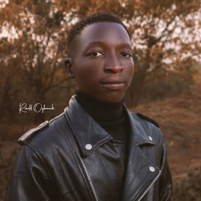 The uselessness of education without enlightenment, by Solomon Tengu Micah