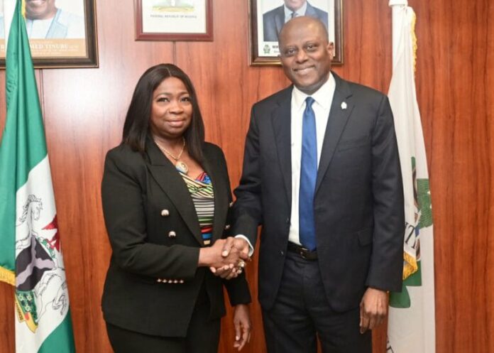 Nigeria's diaspora remittances skyrocket to $600m monthly - CBN Governor