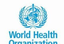 No level of alcohol is safe, WHO warns No level of alcohol is safe, WHO warns