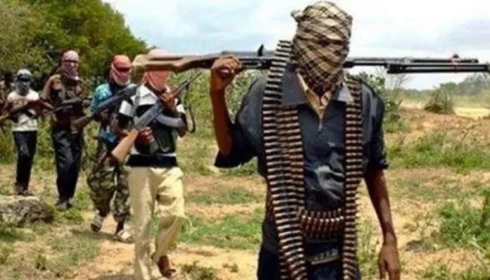 Tackling the menace of kidnapping, by Rahama Haruna Umar