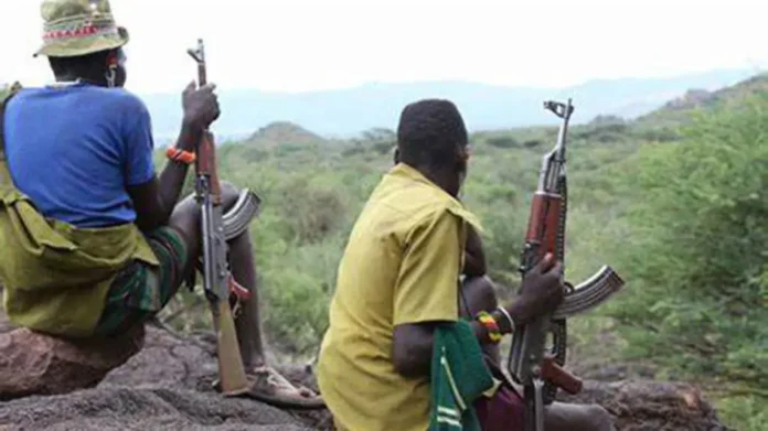 Bandits abduct councillors, imam in Zamfara — LG chairman confirms