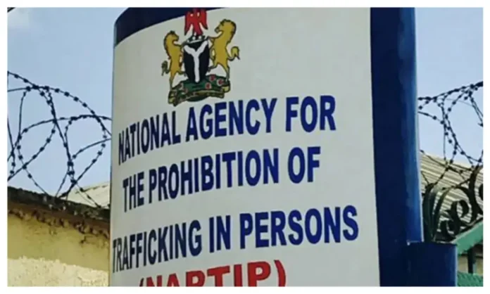 NAPTIP nabs suspected human traffickers, rescues 8 women in Kano