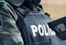 Police arrest 2 brothers for robbery in Ondo Police arrest 2 brothers for robbery in Ondo